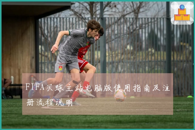 FIFA买球主站电脑版使用指南及注册流程说明