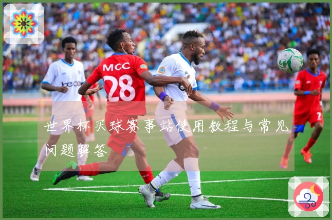 世界杯买球赛事站使用教程与常见问题解答