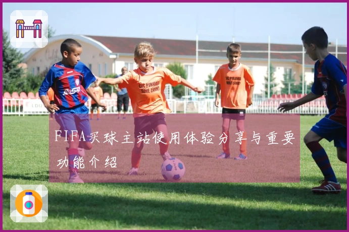 FIFA买球主站使用体验分享与重要功能介绍