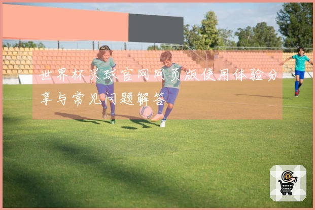 世界杯买球官网网页版使用体验分享与常见问题解答