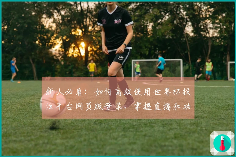 新人必看：如何高效使用世界杯投注平台网页版登录，掌握直播和功能全攻略