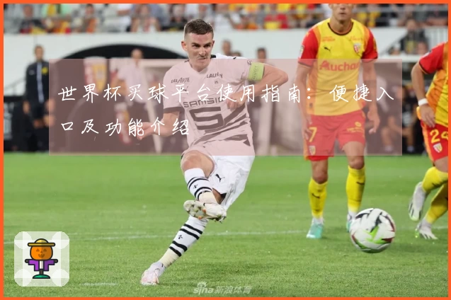世界杯买球平台使用指南：便捷入口及功能介绍