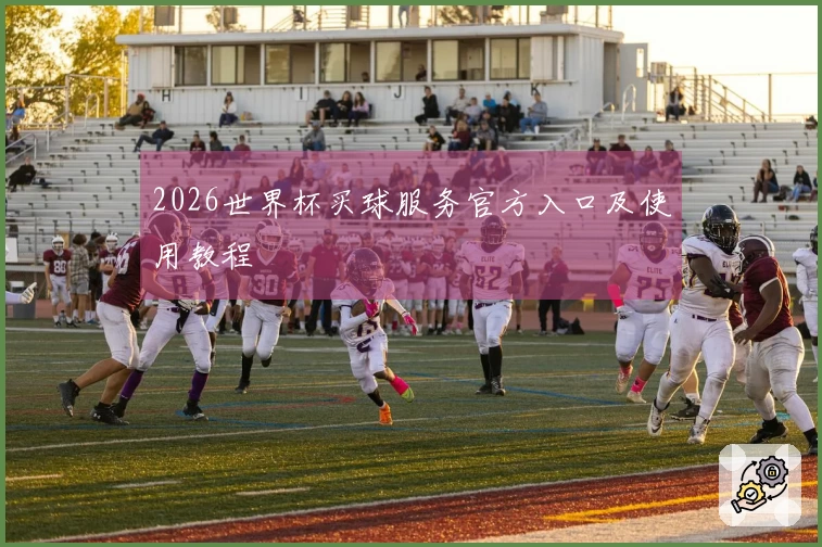 2026世界杯买球服务官方入口及使用教程