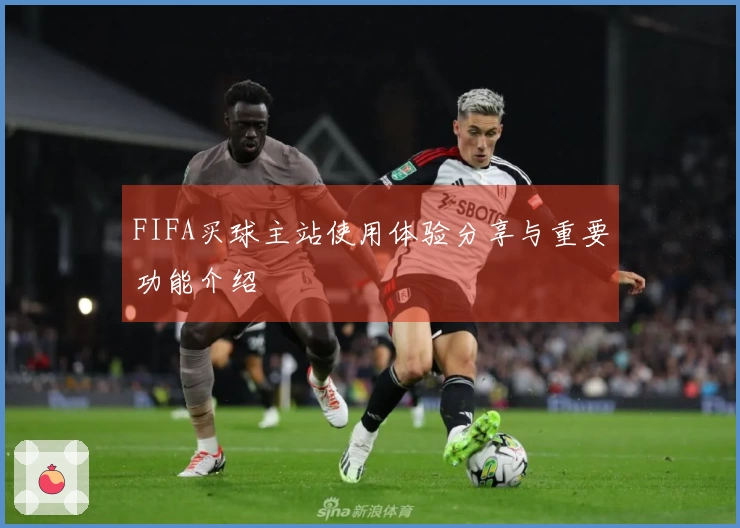 FIFA买球主站使用体验分享与重要功能介绍