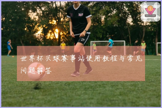世界杯买球赛事站使用教程与常见问题解答