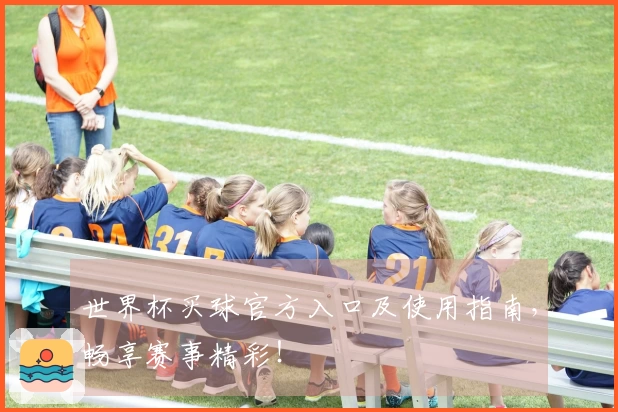 世界杯买球官方入口及使用指南，畅享赛事精彩！
