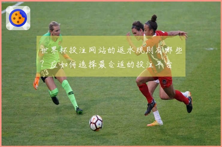 世界杯投注网站的返水规则有哪些？应如何选择最合适的投注平台