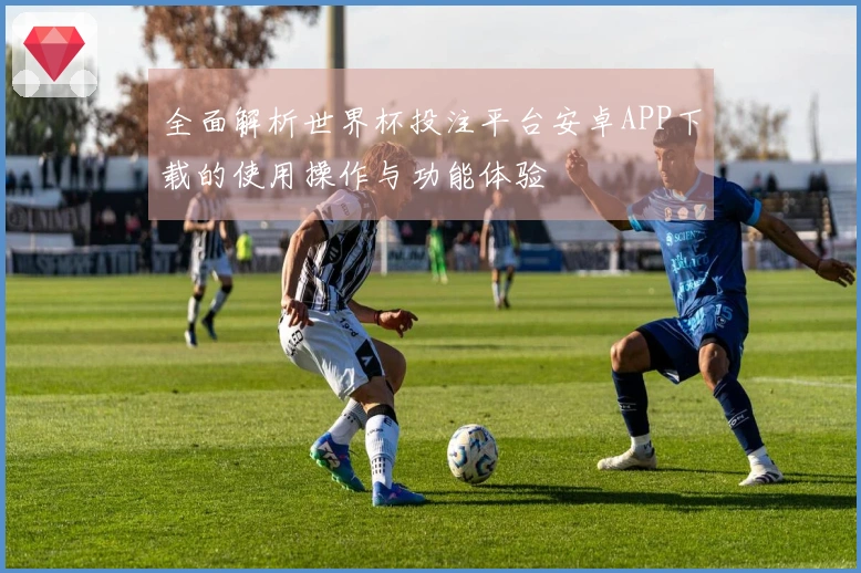 全面解析世界杯投注平台安卓APP下载的使用操作与功能体验