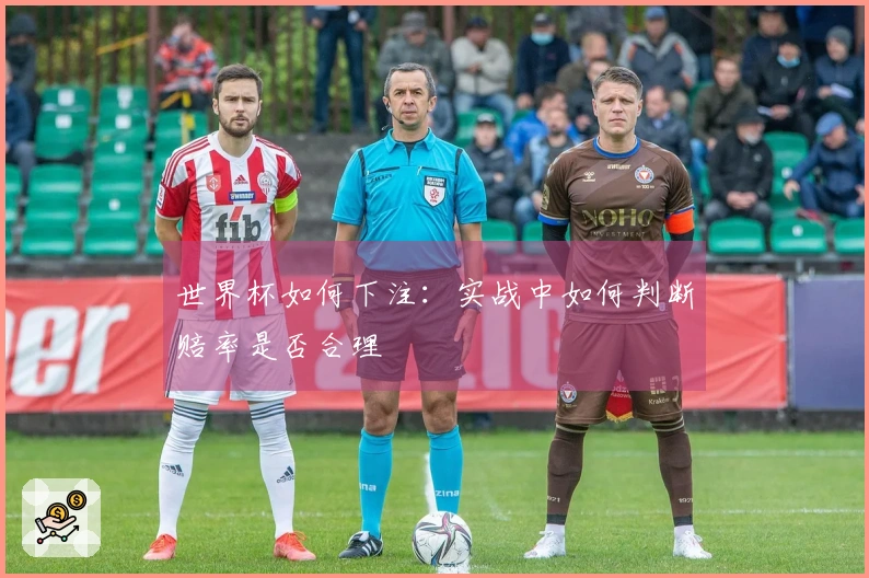 世界杯如何下注：实战中如何判断赔率是否合理